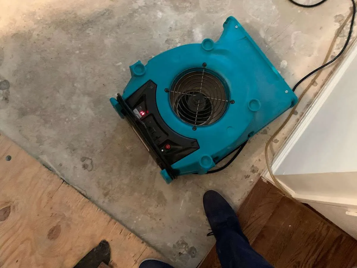 Air mover drying subfloor during Leak Detection & Repair in Port Wentworth